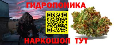 индика Краснознаменск