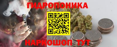 индика Краснознаменск