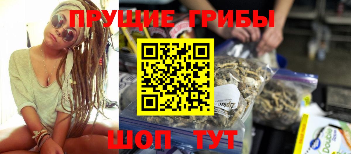 Кемерово  Псилоцибиновые грибы мицелий  Вход с VPN 