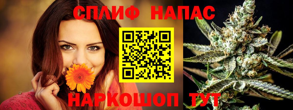 Марихуана сатива  Бошки Шишки планчик  МАРИХУАНА MAZAR  Вход с VPN  Кемерово 